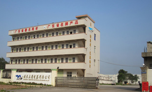 廣東正鷹電器 家用電器銷(xiāo)售的品質(zhì)與服務(wù)之道
